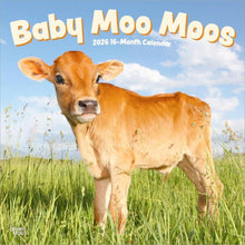 Load image into Gallery viewer, Browntrout Baby Moo Moos 2026 12 x 12 Wall Calendar
