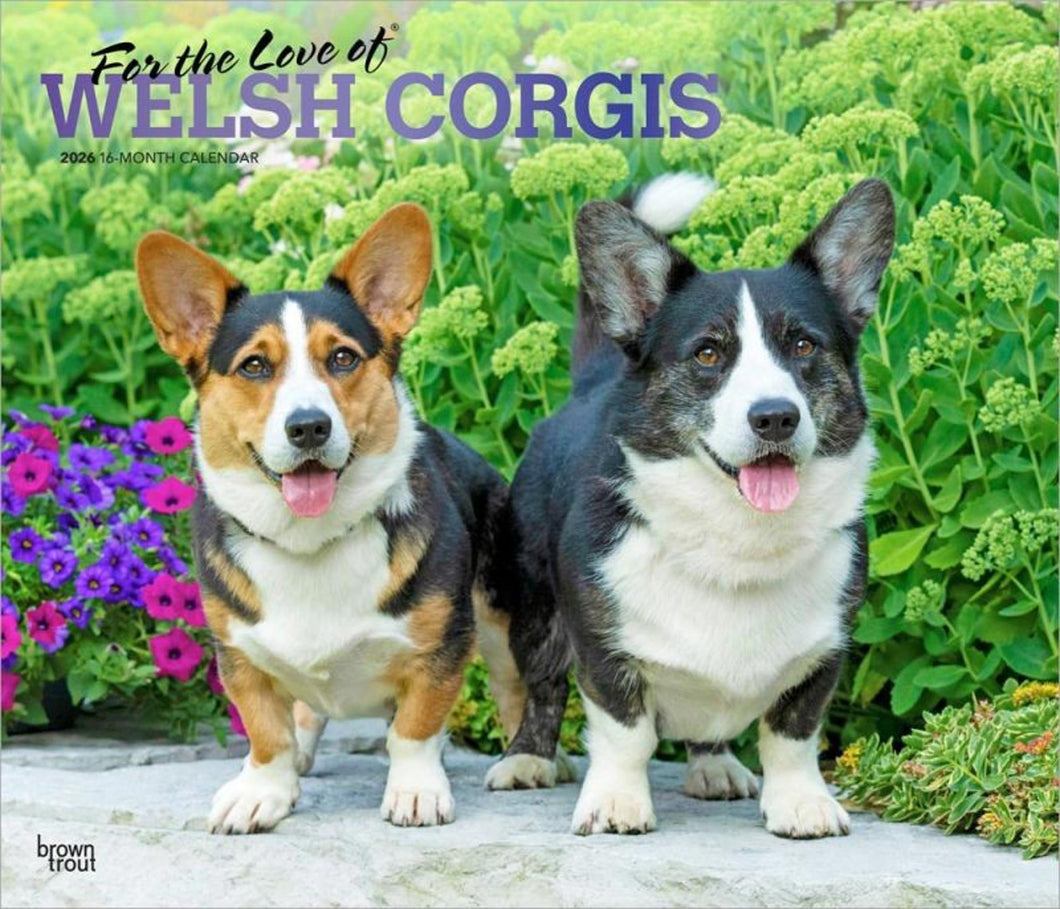 Browntrout For the Love of Welsh Corgis 2026 14 x 12 Wall Calendar
