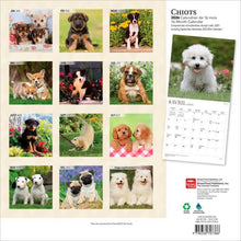 Load image into Gallery viewer, Browntrout Chiots 2026 12 x 12 Wall Calendar
