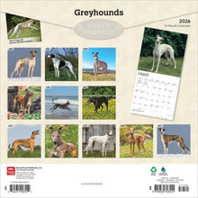 Load image into Gallery viewer, Browntrout Greyhounds 2026 12 x 12 Wall Calendar
