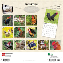 Load image into Gallery viewer, Browntrout Roosters 2026 12 x 12 Wall Calendar
