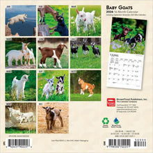 Load image into Gallery viewer, Browntrout Baby Goats 2026 7 x 7 Mini Calendar
