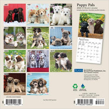 Load image into Gallery viewer, Browntrout Puppy Pals 2026 7 x 7 Mini Calendar
