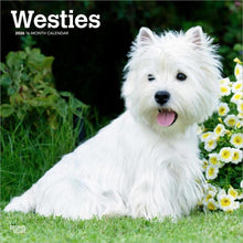 Load image into Gallery viewer, Browntrout West Highland White Terriers 2026 12 x 12 Wall Calendar
