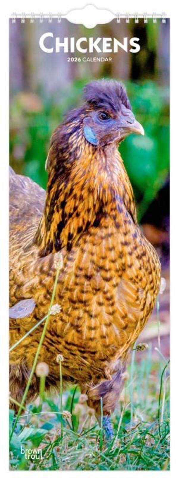 Browntrout Chickens 2026 5.7 x 16.5 Slimline Wall Calendar