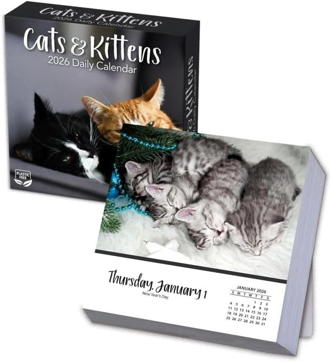 Turner Cats & Kittens 2026 Daily Box Calendar