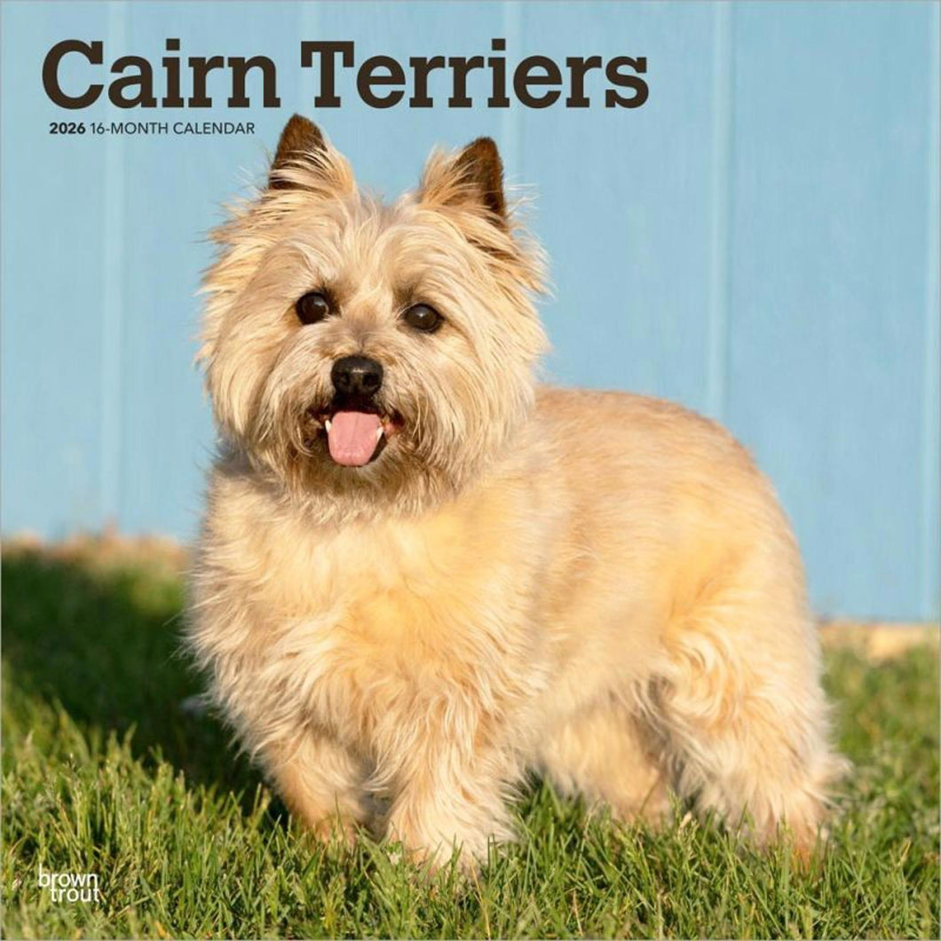 Browntrout Cairn Terriers 2026 12 x 12 Wall Calendar