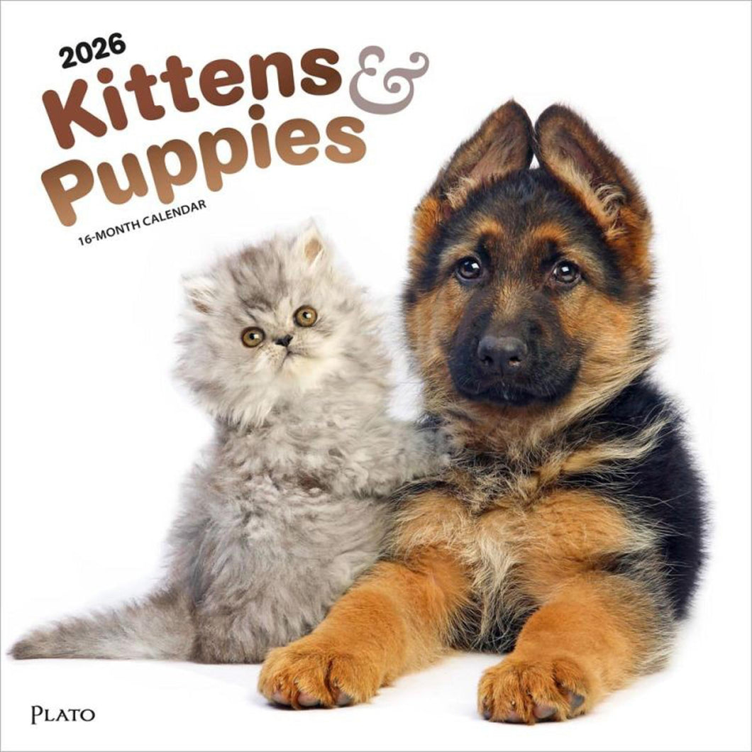 Browntrout Kittens & Puppies 2026 12 x 12 Wall Calendar
