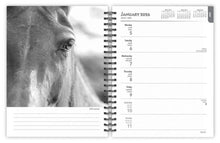 Load image into Gallery viewer, Browntrout Portrait The Noble Horse 2026 6 x 7.75 Weekly Engagement Planner
