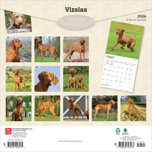 Load image into Gallery viewer, Browntrout Vizslas 2026 12 x 12 Wall Calendar
