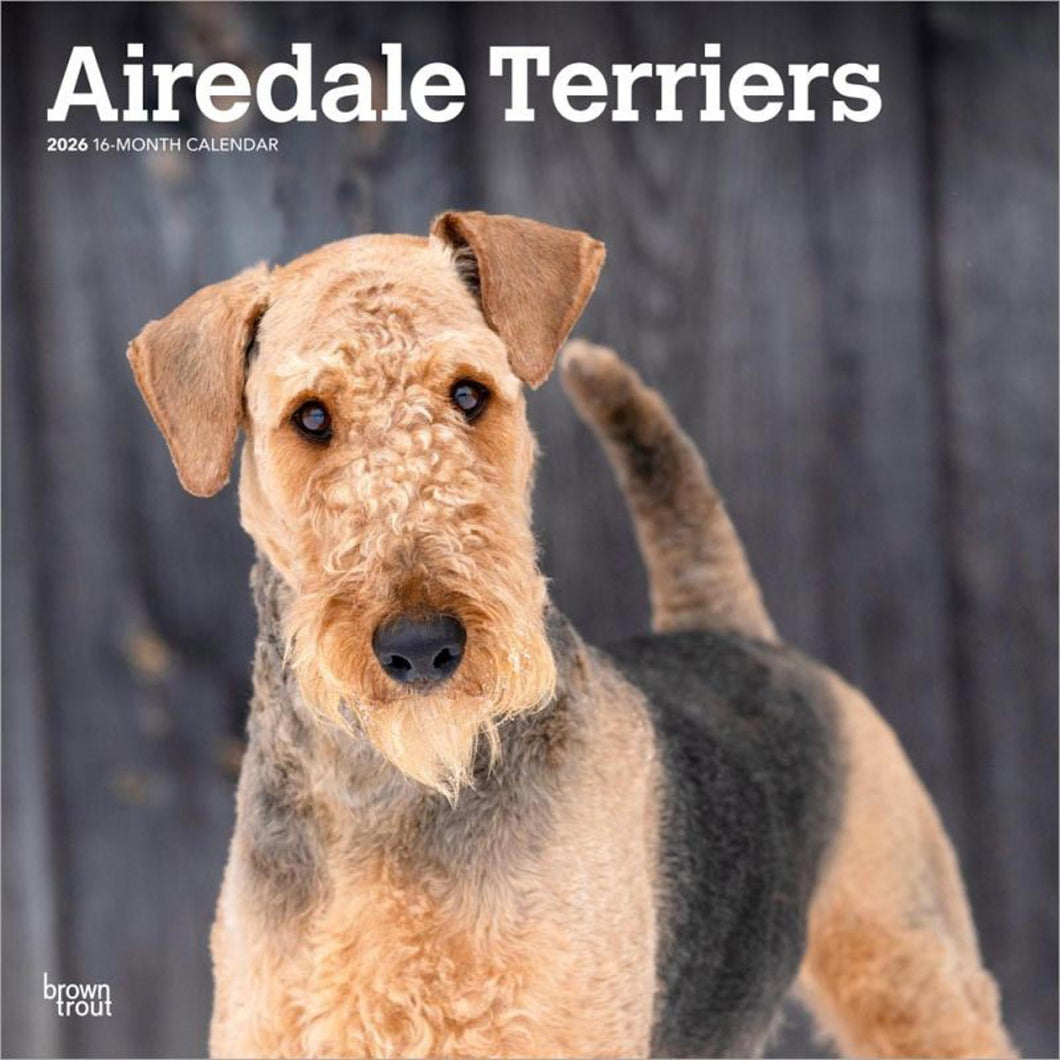 Browntrout Airedale Terriers 2026 12 x 12 Wall Calendar