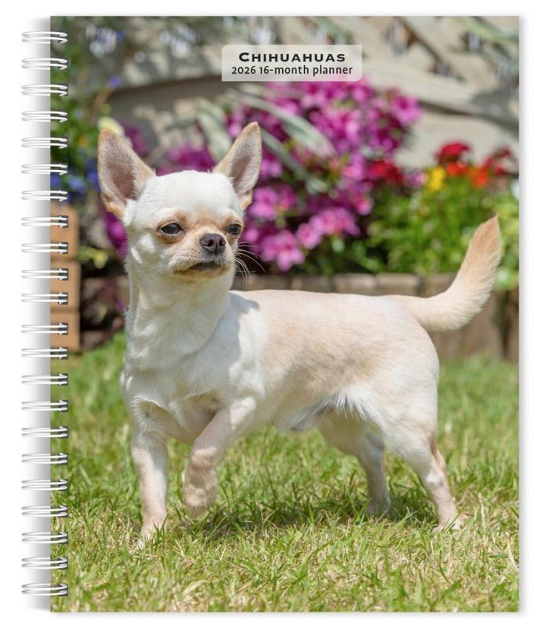 Browntrout Chihuahuas 2026 6 x 7.75 Weekly Engagement Planner