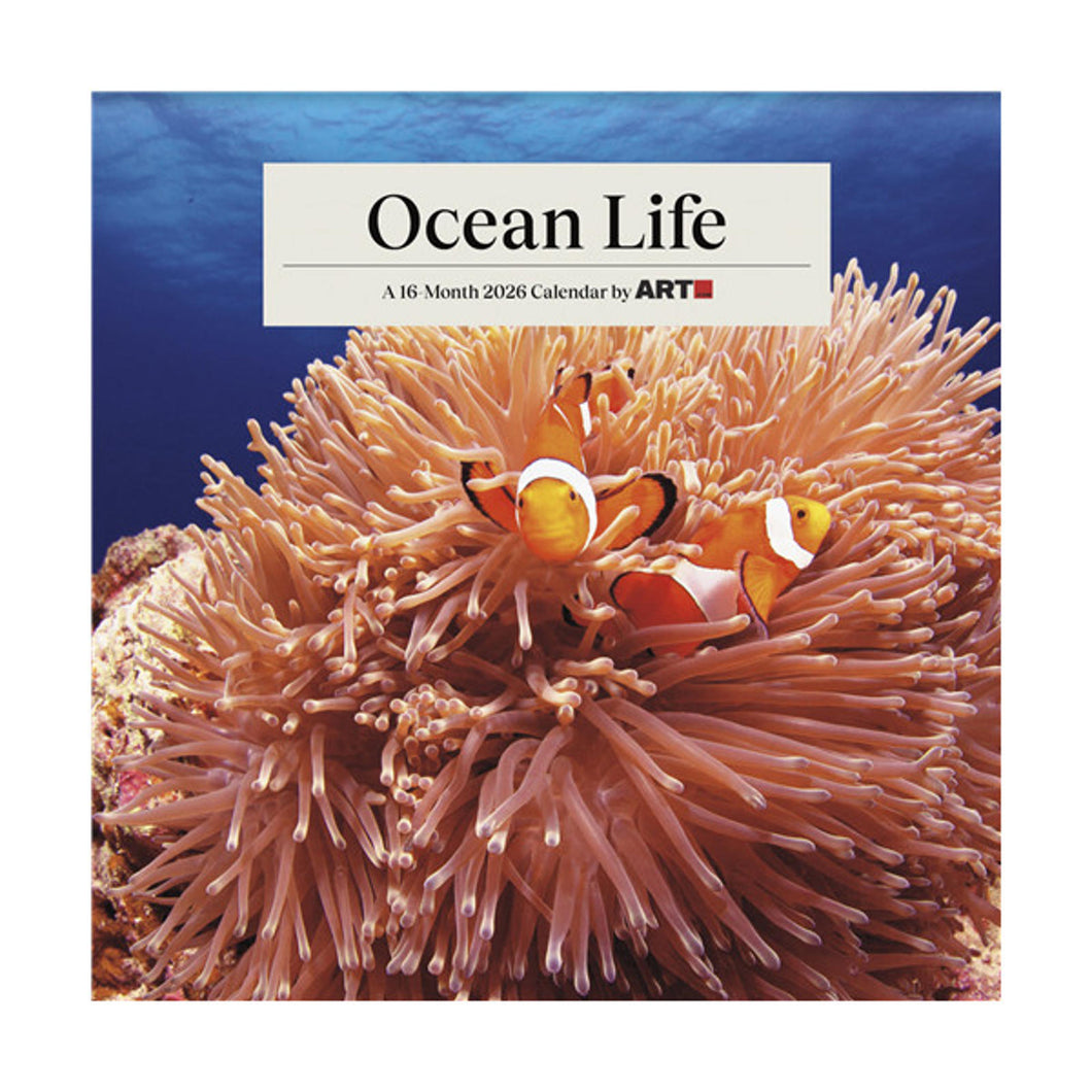 Trends International Ocean Life 2026 12 x 12 Wall Calendar