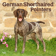 Load image into Gallery viewer, Browntrout German Shorthaired Pointers 2026 12 x 12 Wall Calendar
