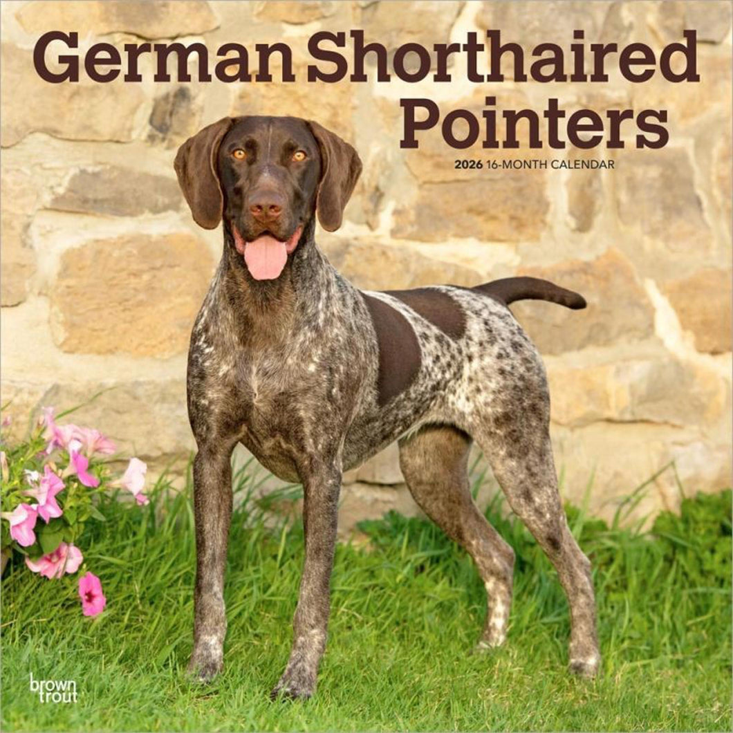 Browntrout German Shorthaired Pointers 2026 12 x 12 Wall Calendar