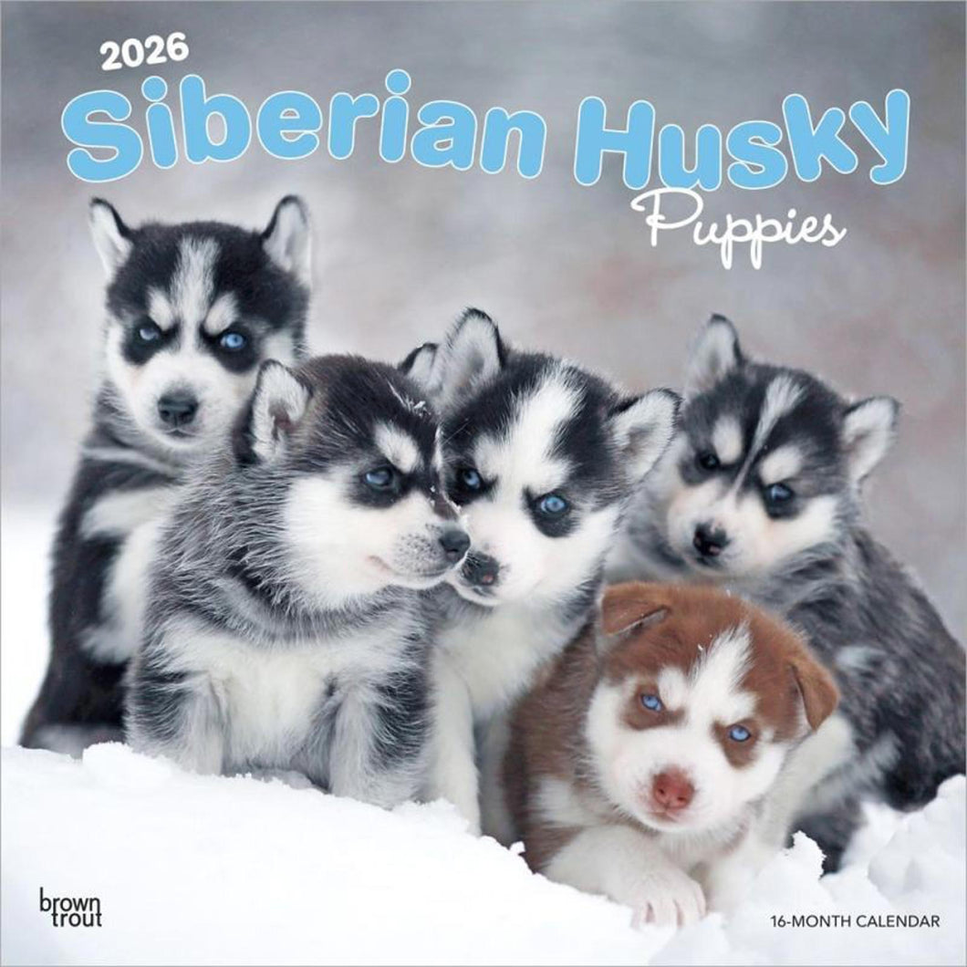 Browntrout Siberian Husky Puppies 2026 12 x 12 Wall Calendar