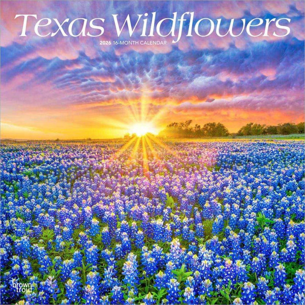 Browntrout Texas Wildflowers 2026 12 x 12 Wall Calendar
