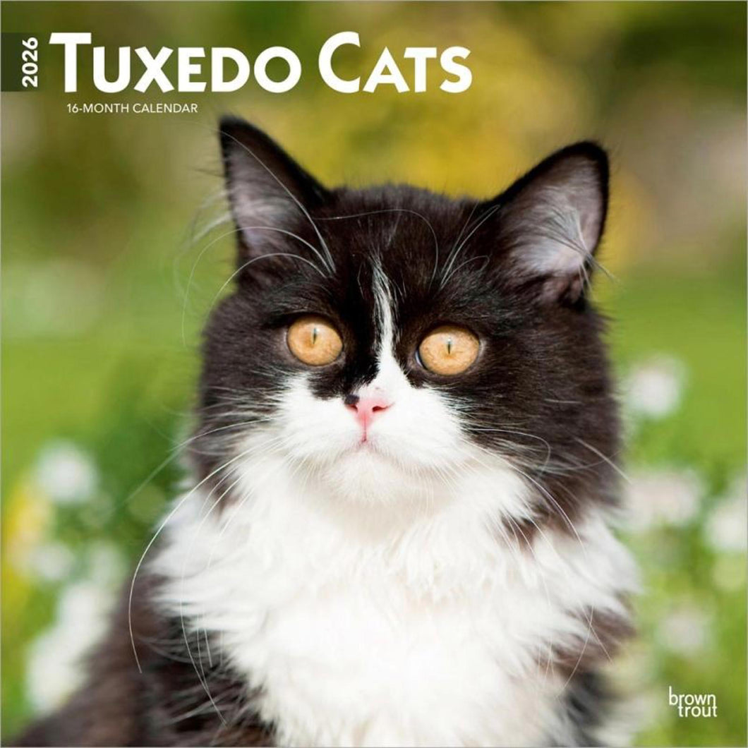 Browntrout Tuxedo Cats 2026 12 x 12 Wall Calendar
