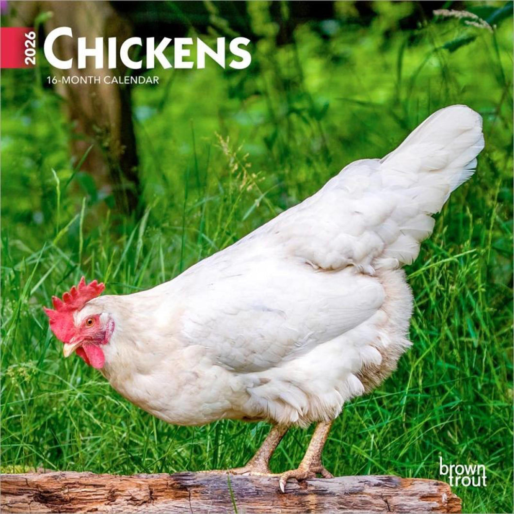 Browntrout Chickens 2026 7 x 7 Mini Calendar