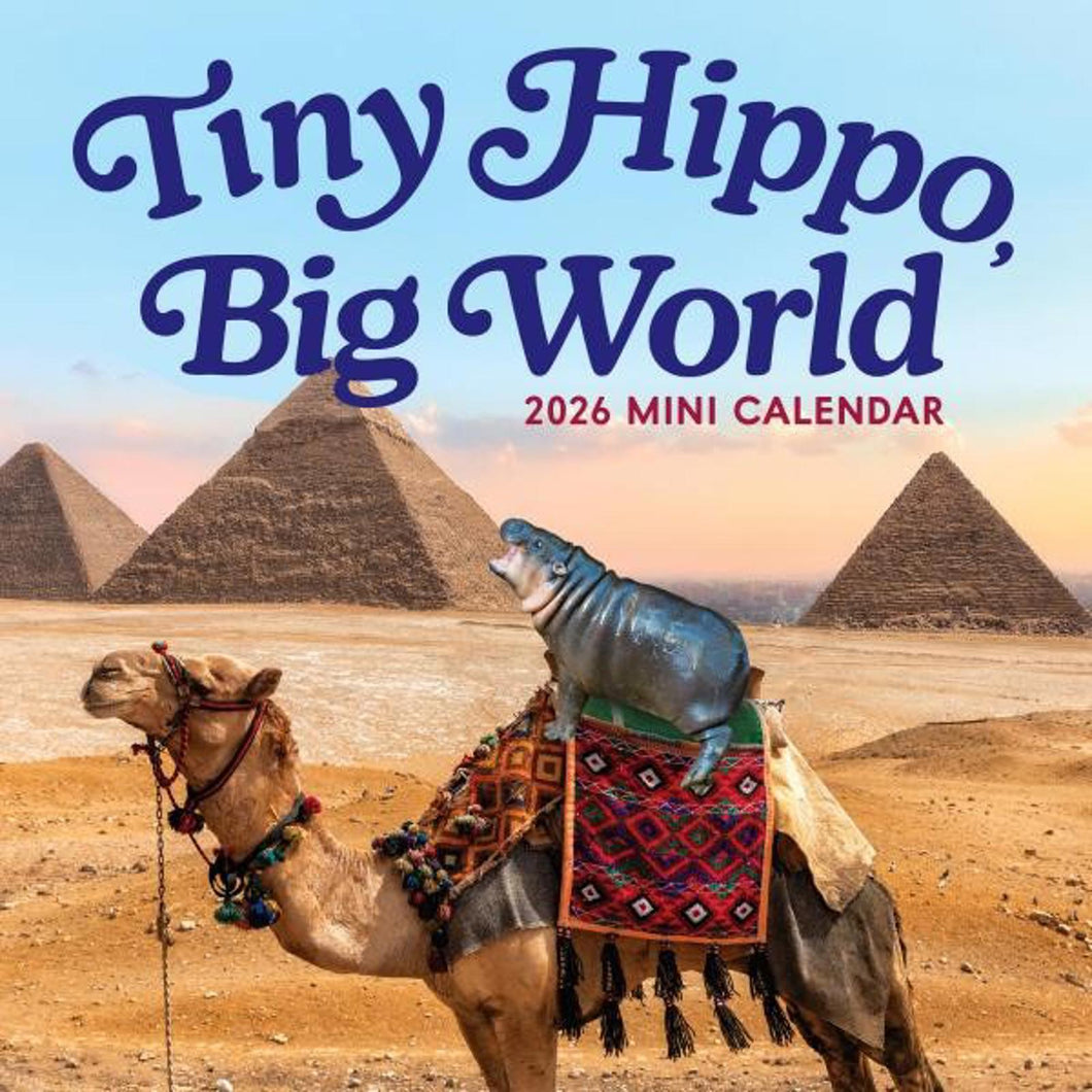 Workman Tiny Hippo, Big World 2026 Mini Calendar