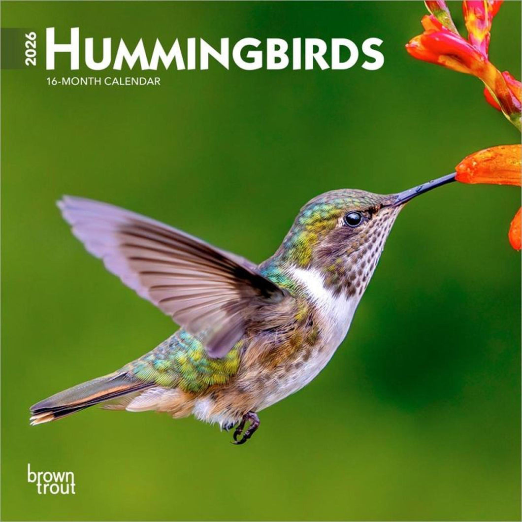 Browntrout Hummingbirds 2026 7 x 7 Mini Calendar
