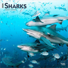Load image into Gallery viewer, Browntrout Sharks 2026 12 x 12 Wall Calendar
