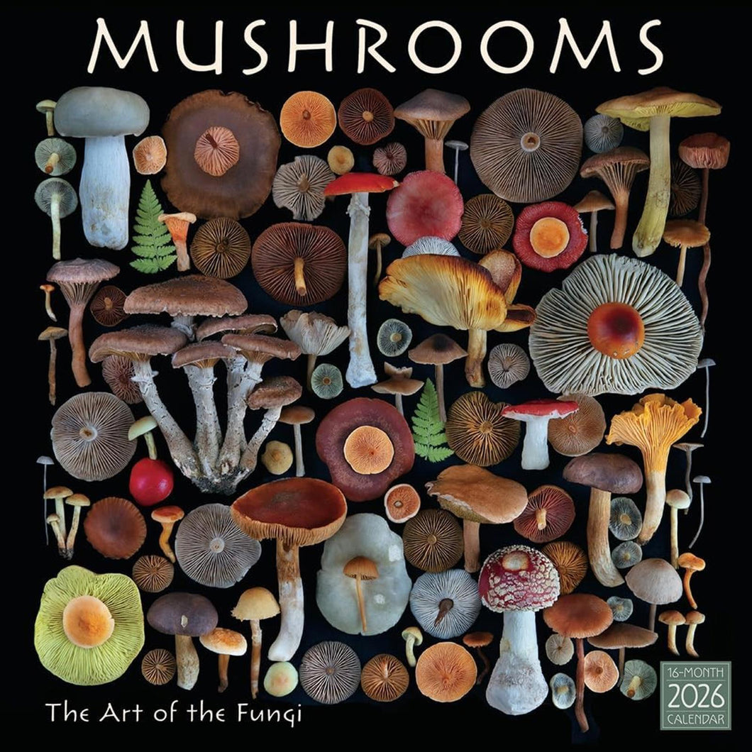 Sellers Publishing Mushrooms 2026 12 x 12 Wall Calendar