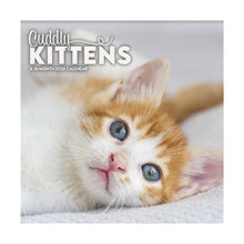 Load image into Gallery viewer, Trends International Cuddly Kittens 2026 7 x 7 Mini Calendar
