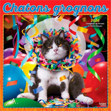 Load image into Gallery viewer, Browntrout Avanti Chatons Grognons OFFICIAL 2026 12 x 12 Wall Calendar
