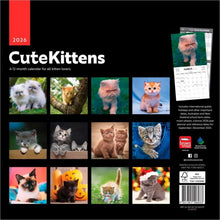 Load image into Gallery viewer, Browntrout Cute Kittens 2026 12 x 12 Wall Calendar
