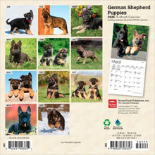 Load image into Gallery viewer, Browntrout German Shepherd Puppies 2026 7 x 7 Mini Calendar
