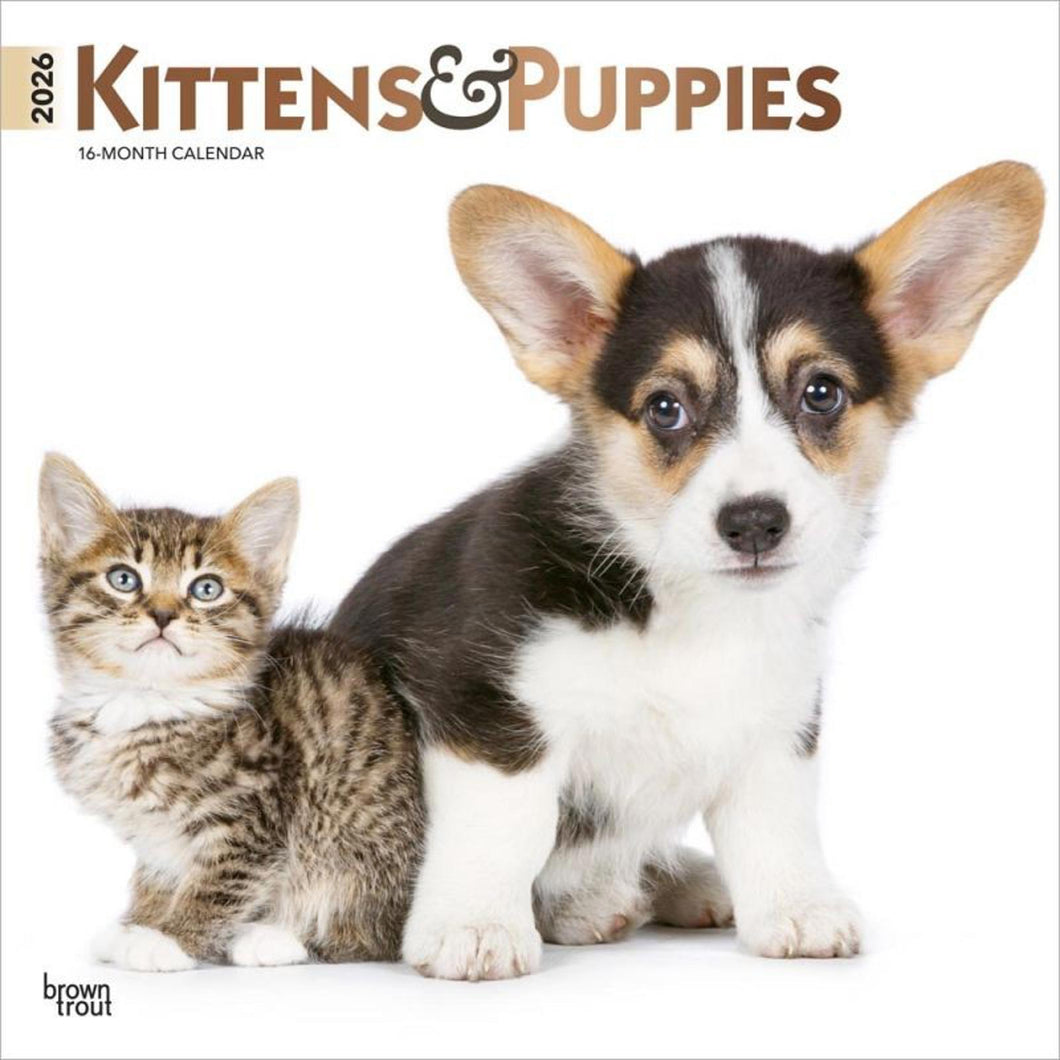 Browntrout Kittens & Puppies 2026 12 x 12 Wall Calendar
