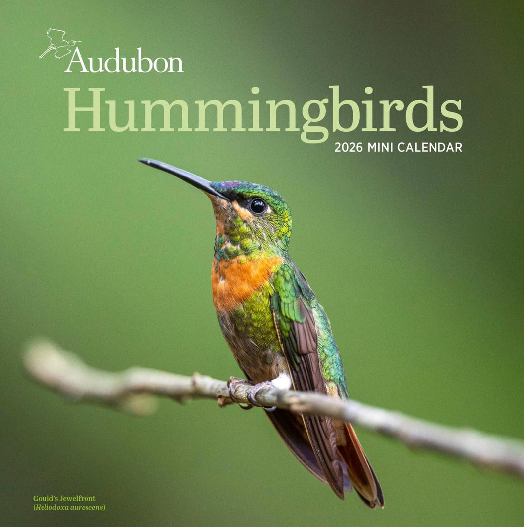 Workman Audubon Hummingbirds 2026 Mini Calendar