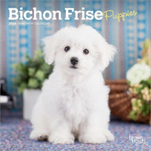 Load image into Gallery viewer, Browntrout Bichon Frise Puppies 2026 7 x 7 Mini Calendar
