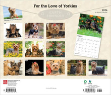 Load image into Gallery viewer, Browntrout For the Love of Yorkshire Terriers 2026 14 x 12 Wall Calendar
