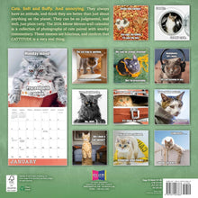 Load image into Gallery viewer, Sellers Publishing Meow Memes 2026 12 x 12 Wall Calendar
