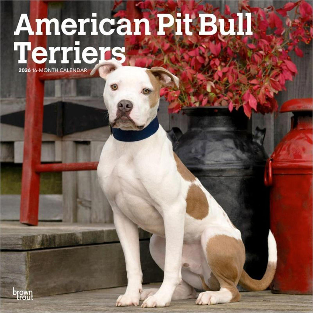 Browntrout American Pit Bull Terriers 2026 12 x 12 Wall Calendar
