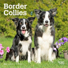 Load image into Gallery viewer, Browntrout Border Collies 2026 7 x 7 Mini Calendar
