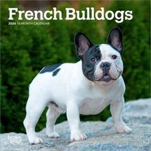 Load image into Gallery viewer, Browntrout French Bulldogs 2026 7 x 7 Mini Calendar
