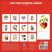 Load image into Gallery viewer, Universe The New York Botanical Garden 12x12 2026 Wall Calendar
