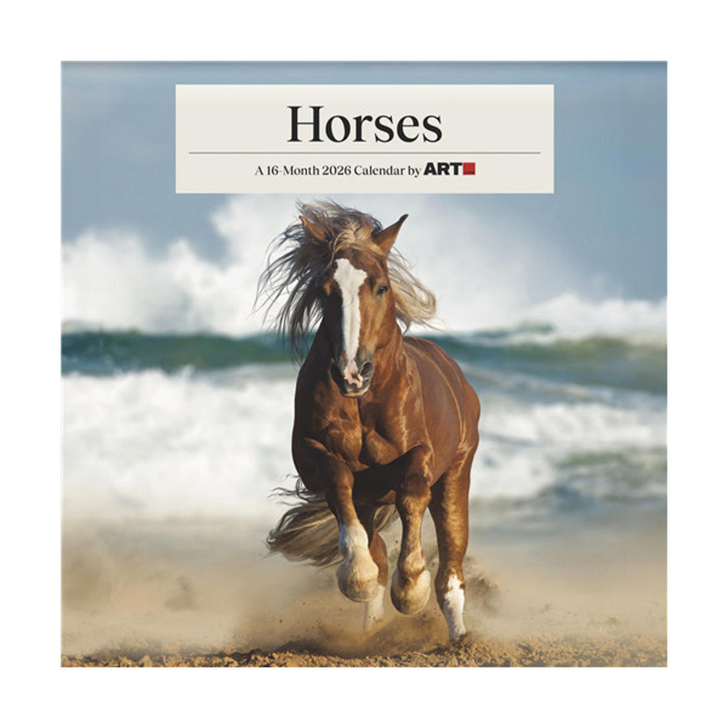 Trends International Horses 2026 12 x 12 Wall Calendar