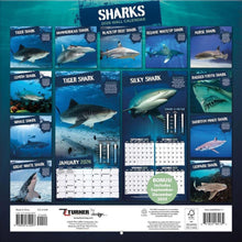 Load image into Gallery viewer, Turner Sharks 12x12 Photo 2026 Wall Calendar
