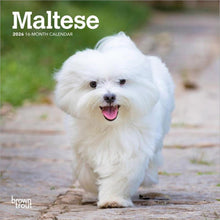 Load image into Gallery viewer, Browntrout Maltese 2026 7 x 7 Mini Calendar
