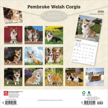 Load image into Gallery viewer, Browntrout Pembroke Welsh Corgis 2026 12 x 12 Wall Calendar
