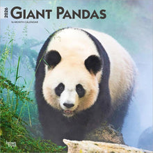 Load image into Gallery viewer, Browntrout Giant Pandas 2026 12 x 12 Wall Calendar
