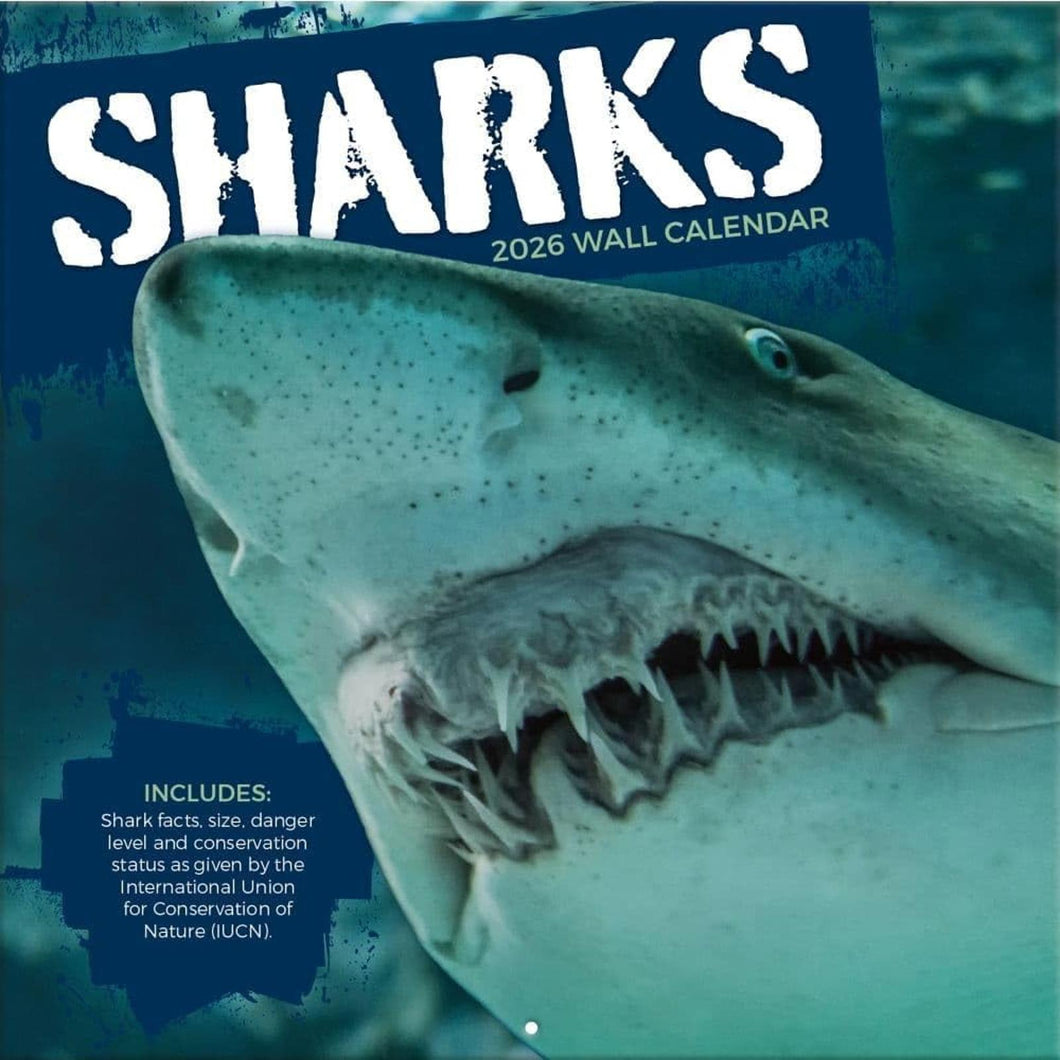 Turner Sharks 12x12 Photo 2026 Wall Calendar