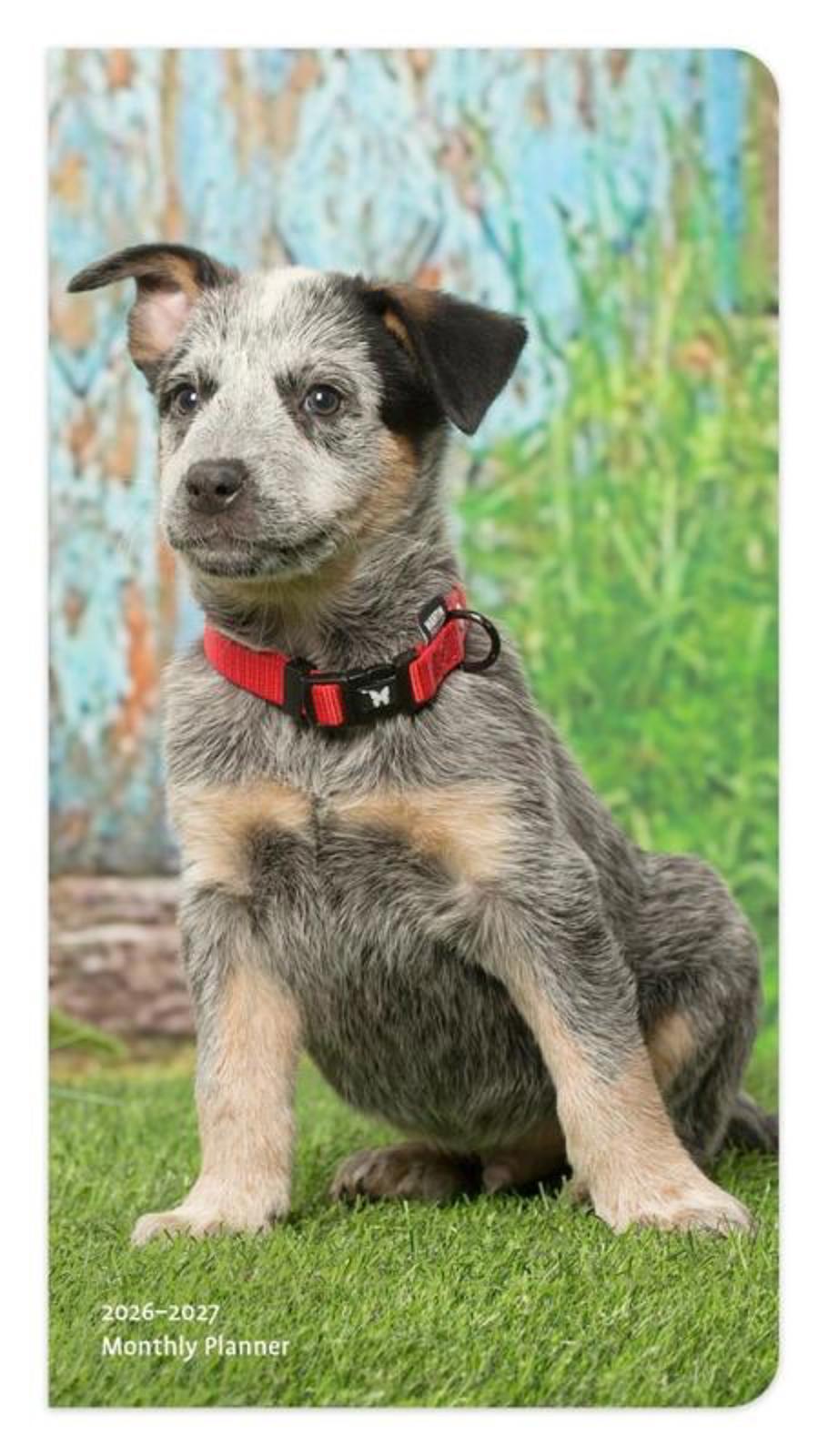 Browntrout I Love Puppies 2026-2027 Two Year Monthly Pocket Planner