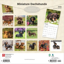 Load image into Gallery viewer, Browntrout Miniature Dachshunds 2026 12 x 12 Wall Calendar

