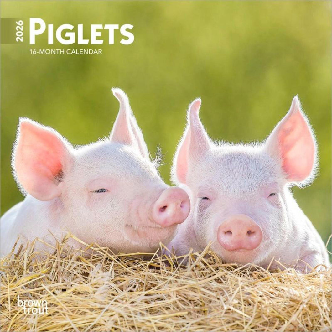 Browntrout Piglets 2026 7 x 7 Mini Calendar