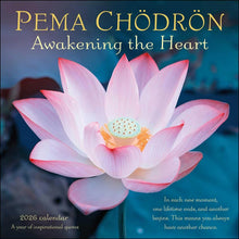 Load image into Gallery viewer, Amber Lotus Pema Chödrön 12x12 2026 Wall Calendar
